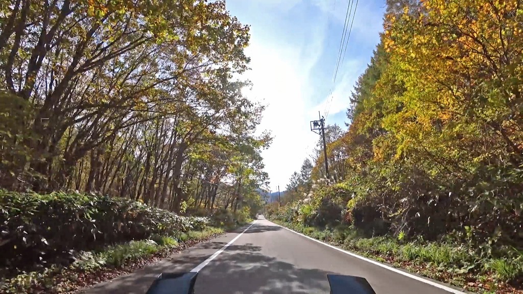 御池・樹海ライン 国道352号